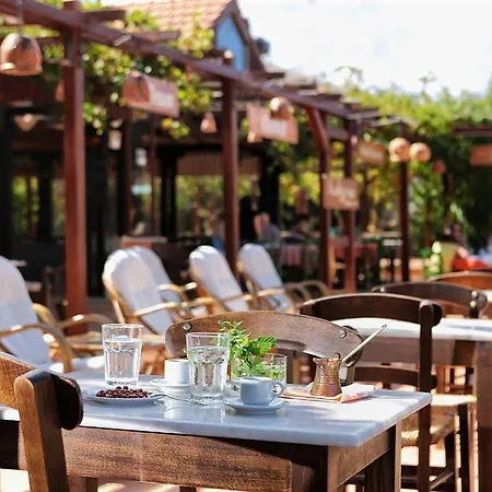 Kalypso (adults Only)