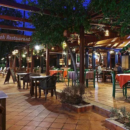 Kalypso (adults Only) 2*